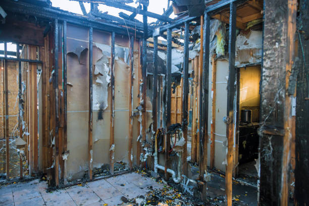 Professional Soot Cleanup technician working in Clarksville, IN